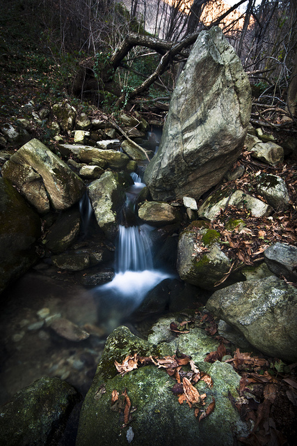 8262484196_c301ef908a_z